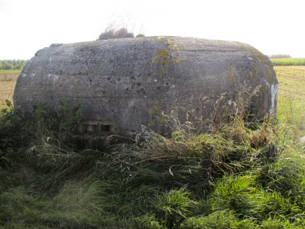 Ligne Maginot - BEF 355 - BAS DU CHEMIN DE CAMPHIN 3 - (Blockhaus pour arme infanterie) - 