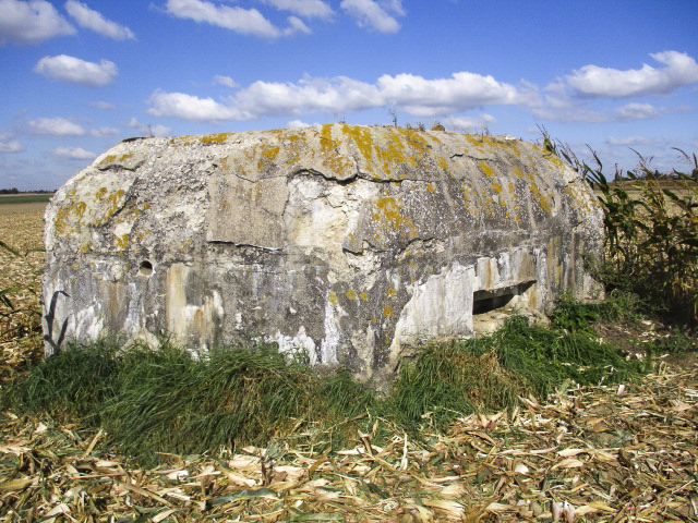 Ligne Maginot - BEF 352 - BAS DU CHEMIN DE CAMPHIN 2 - (Blockhaus pour arme infanterie) - 