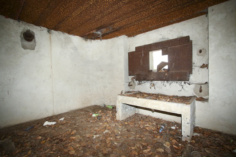 Ligne Maginot - WOLFSGARTEN (Blockhaus pour canon) -  - GRUBER Franck