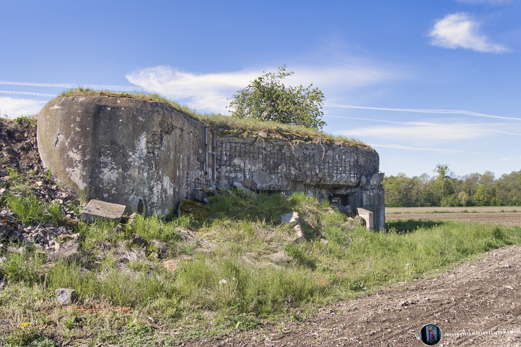 Ligne Maginot - 30BIS/3 - NACHTWEID - (Casemate d'infanterie - double) - La façade nord, on peut encore apercevoir le créneau pour le jumelage de mitrailleuses et le canon antichar de 47 mm - UrbexLigneMaginot