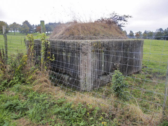 Ligne Maginot - BEF 399 - BOIS DES AULNOIS NORD 2 - (Observatoire d'artillerie) - 