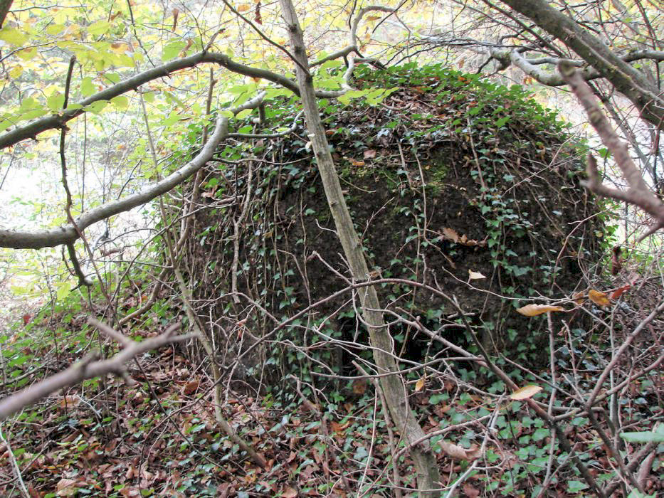 Ligne Maginot - MONT DES WELCHES - A21 - (Ouvrage d'artillerie) - Entrée munitions.
Cloche GFM.