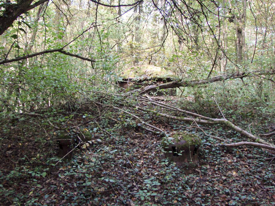 Ligne Maginot - MONT DES WELCHES - A21 - (Ouvrage d'artillerie) - Bloc 3
Deux champignons d'aération et la tourelle de mitrailleuses.