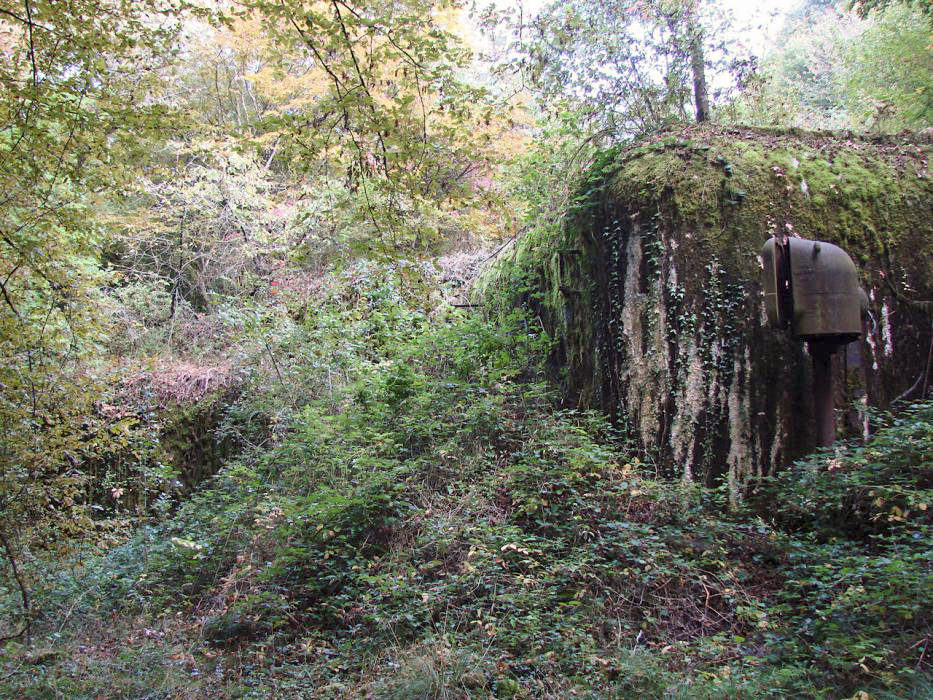 Ligne Maginot - MONT DES WELCHES - A21 - (Ouvrage d'artillerie) - Bloc 4
Le bloc est entièrement merlonné et disparaît sous la végétation.