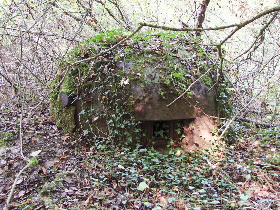 Ligne Maginot - MONT DES WELCHES - A21 - (Ouvrage d'artillerie) - Bloc 4
Une des cloches GFM.