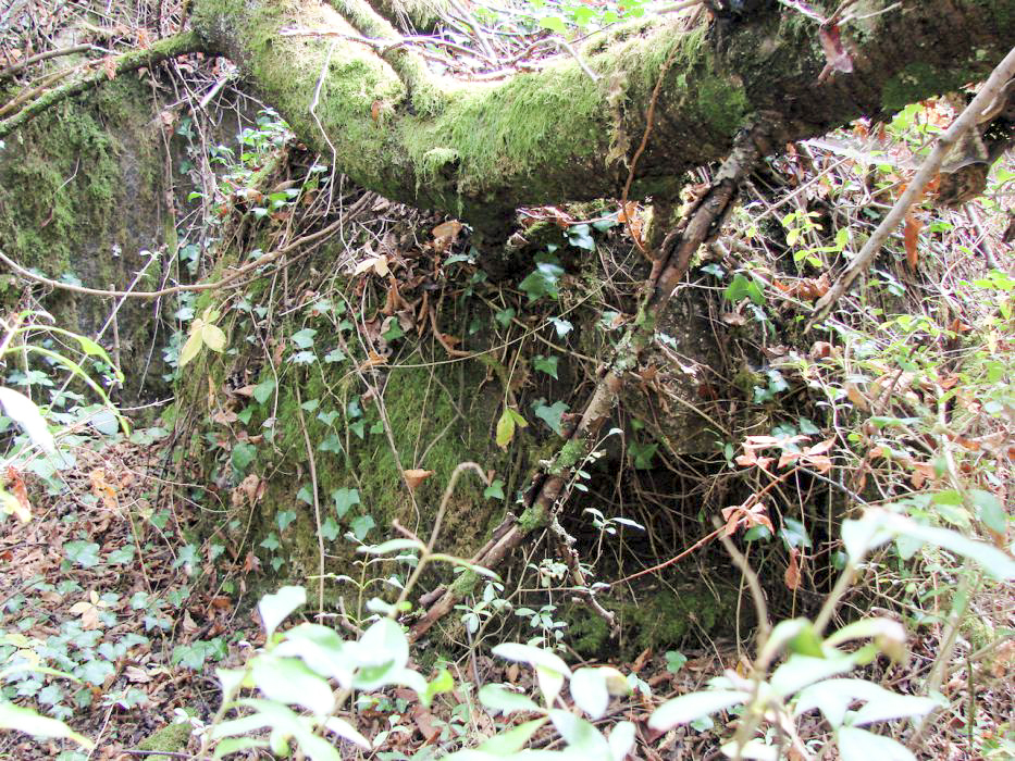 Ligne Maginot - MONT DES WELCHES - A21 - (Ouvrage d'artillerie) - Bloc 4
La seconde cloche GFM.