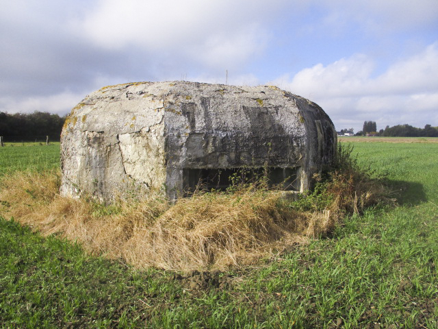 Ligne Maginot - BEF 462 - SARTAINE NORD - (Blockhaus pour arme infanterie) - 