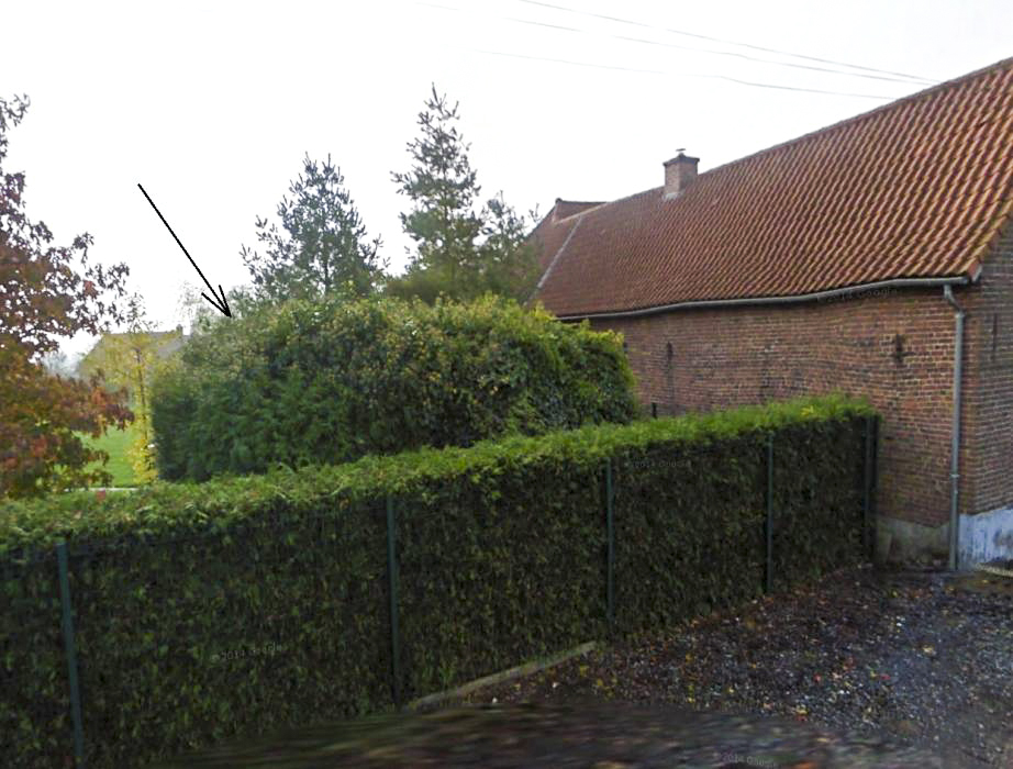 Ligne Maginot - BEF 455 - SARTAINE SUD OUEST - (Blockhaus pour arme infanterie) - 