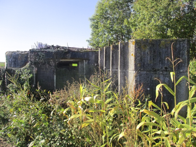 Ligne Maginot - BEF 472 - BOIS JACOB SUD - (Blockhaus pour canon) - 