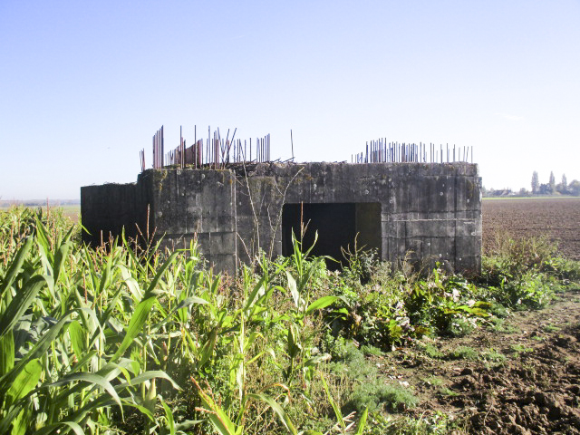 Ligne Maginot - BEF 472 - BOIS JACOB SUD - (Blockhaus pour canon) - 
