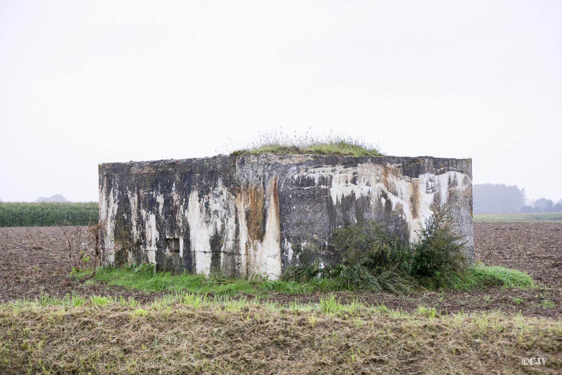 Ligne Maginot - BEF 571B - CRINQUET EST 2 - (Blockhaus pour arme infanterie) -  - Lia VERMEULEN