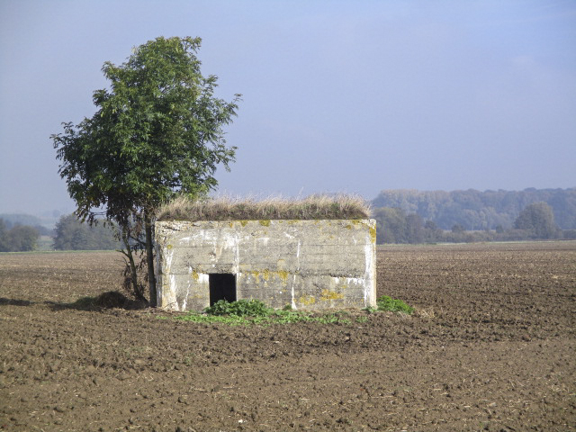Ligne Maginot - BEF 571A - CRINQUET EST 1 - (Blockhaus pour arme infanterie) - Situé dans son environnement.