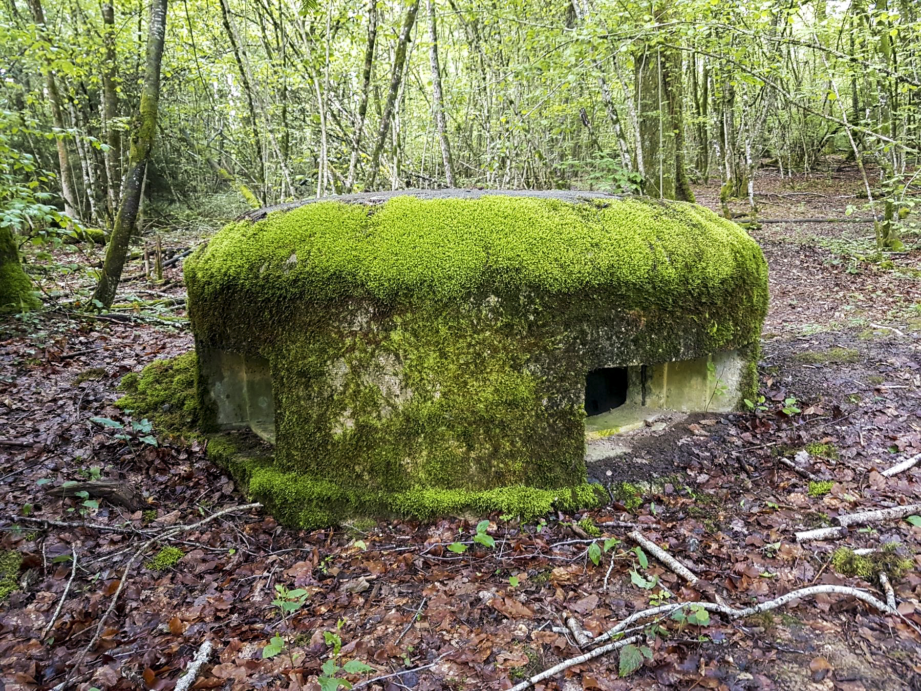 Ligne Maginot - F53 - LES TAVERNETTES 1 - HS107 - (Blockhaus pour arme infanterie) - Les créneaux