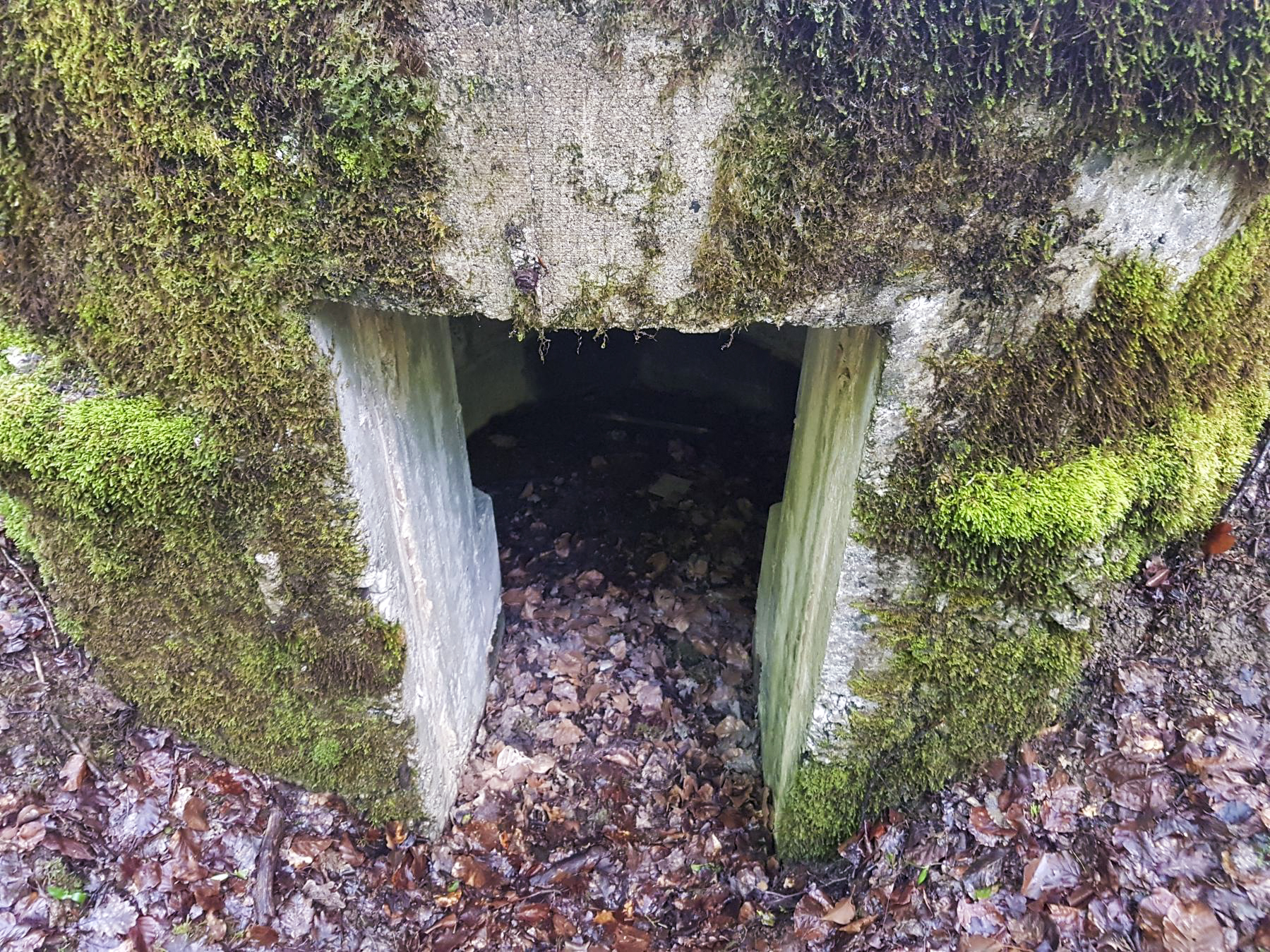 Ligne Maginot - F53 - LES TAVERNETTES 1 - HS107 - (Blockhaus pour arme infanterie) - L'entrée