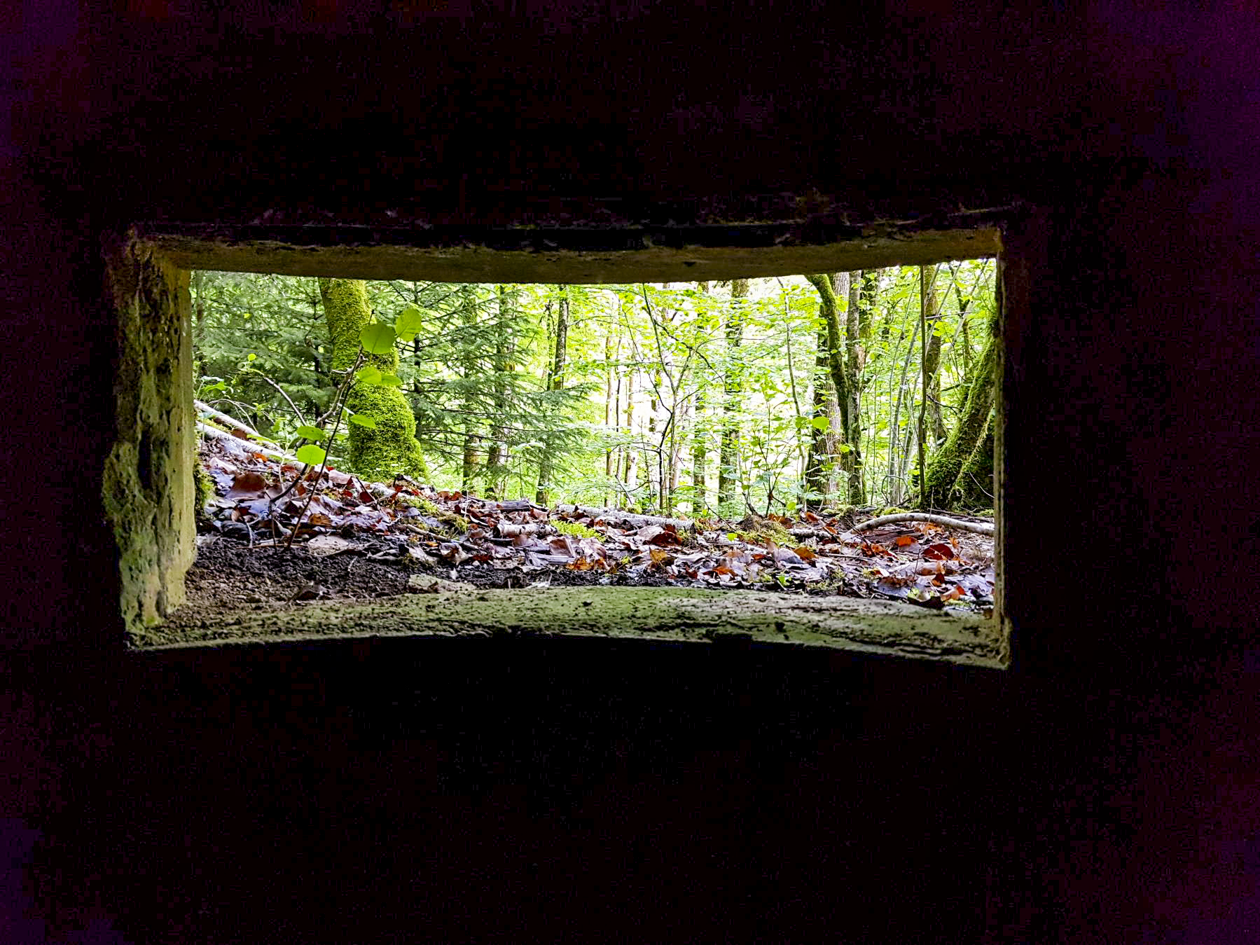 Ligne Maginot - F53 - LES TAVERNETTES 1 - HS107 - (Blockhaus pour arme infanterie) - Vue depuis une des créneaux