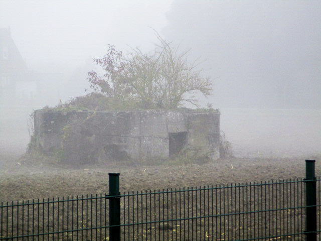 Ligne Maginot - BEF 513 - PONT d'OR Sud (Blockhaus pour arme infanterie) - Vu dans un pré depuis la D 938 - Route de Douai. - Smardz Félix