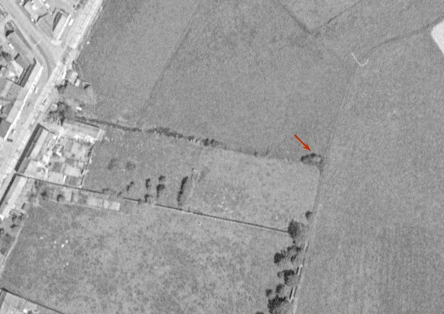 Ligne Maginot - BEF 519 - BERCU EST 3 - (Blockhaus pour canon) - 