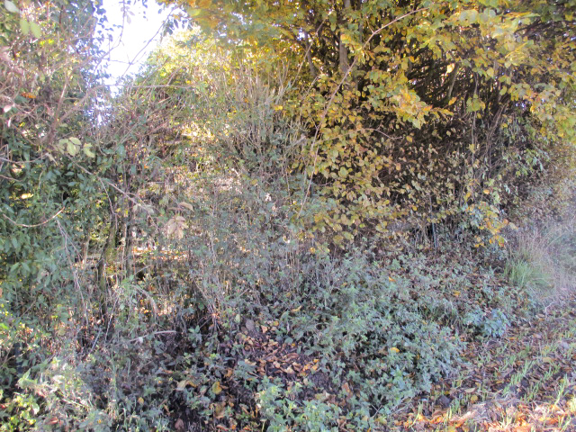 Ligne Maginot - BEF 560 - DIEU-GIBLOT Ouest (Blockhaus pour arme infanterie) - Situé dans le jardin d'une propriété privée