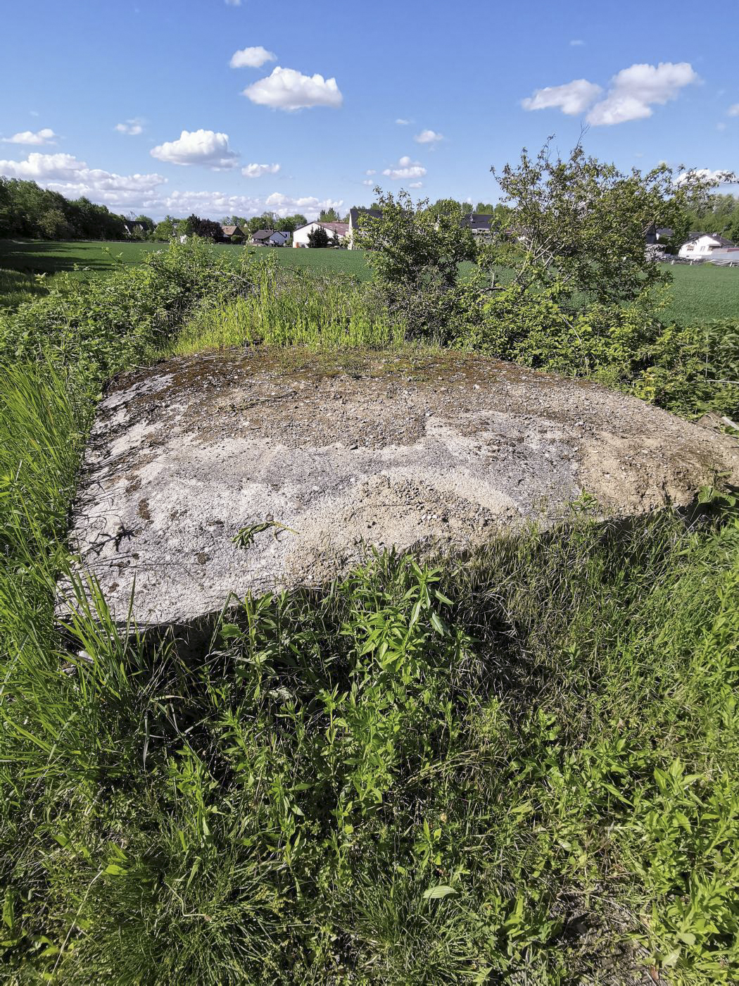 Ligne Maginot - BLEILACH 1 - (Blockhaus pour arme infanterie) - En grande partie enfoui, il y a vraisemblablement un grand créneau sous les ronces, à droite de l'image, mais pas d'entrée repérée.