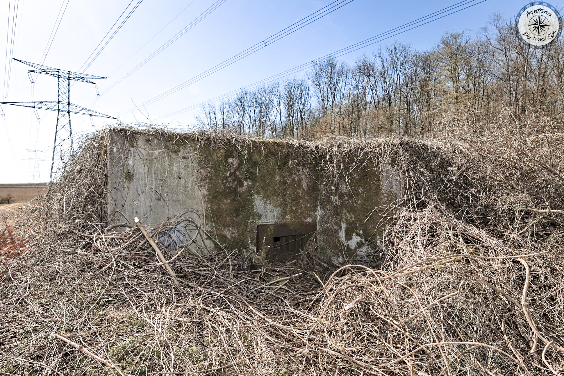 Ligne Maginot - DB315 - BOIS DE CHATILLON - (Blockhaus pour arme infanterie) -  - Thierry Caland