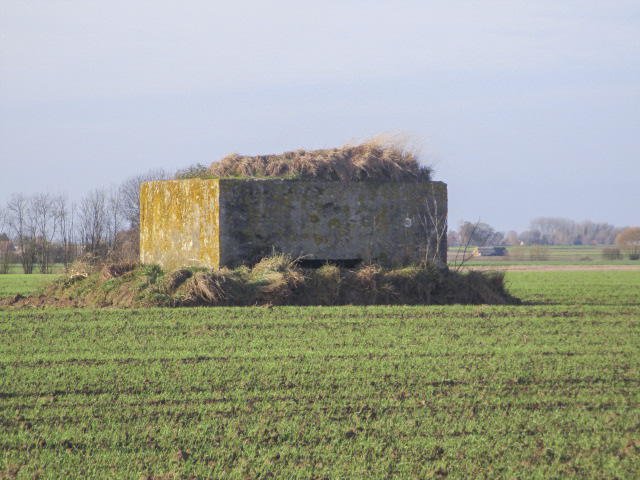 Ligne Maginot - BEF 604 - FOSSE-HERSIN Nord (Observatoire d'artillerie) - 