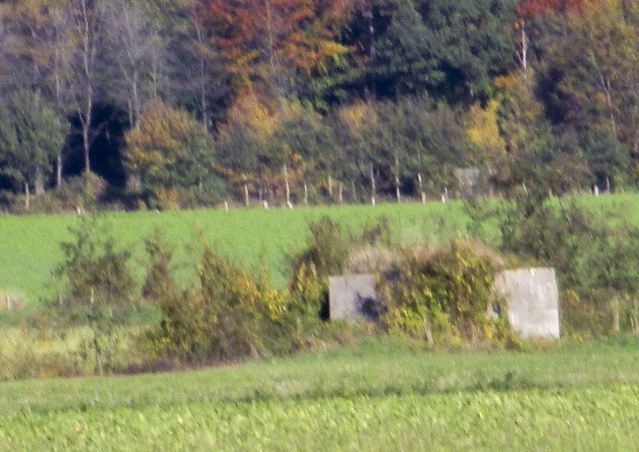 Ligne Maginot - BEF 624 - La BOUGRIE (Blockhaus pour canon) - Vu depuis le blockhaus des Trois Magots vers BEF 624 - La BOUGRIE