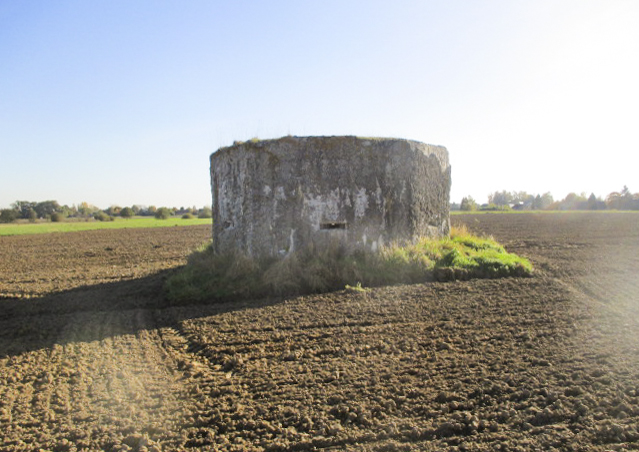 Ligne Maginot - BEF 631 - GRAND-RIDOIR - (Blockhaus pour arme infanterie) - Situé dans son environnement.
