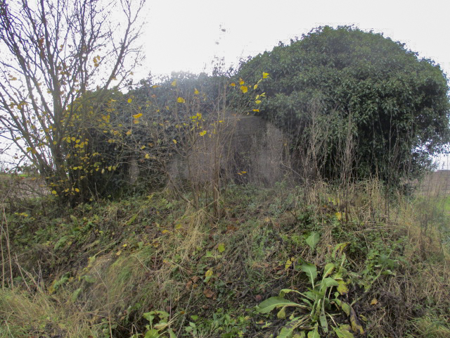 Ligne Maginot - BEF 676 - PONT CAILLOU SUD - (Blockhaus pour arme infanterie) -  - Smardz Félix