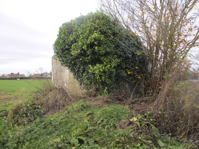 Ligne Maginot - BEF 676 - PONT CAILLOU SUD - (Blockhaus pour arme infanterie) -  - Smardz Félix