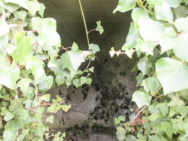 Ligne Maginot - BEF 676 - PONT CAILLOU SUD - (Blockhaus pour arme infanterie) - Intérieur du blockhaus. - Smardz Félix