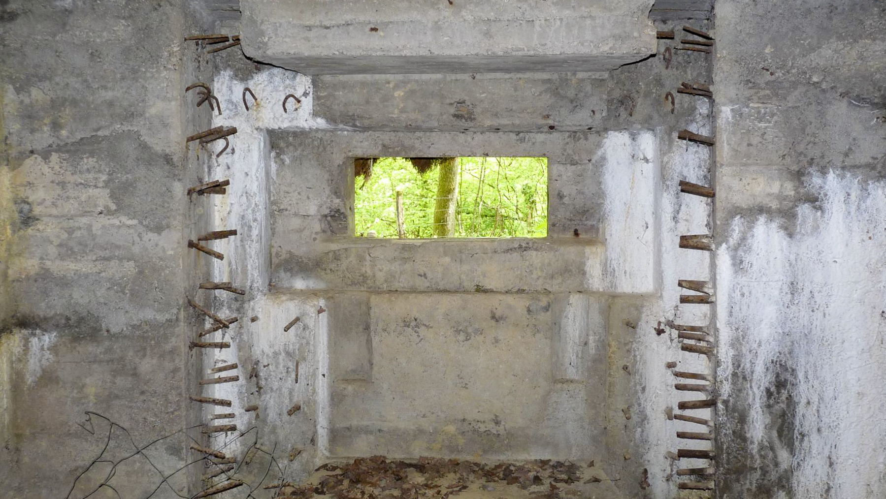 Ligne Maginot - CB274 - SAINTE MARIE 2 - (Blockhaus pour canon) -  - Sylvie Laure LAMBERT