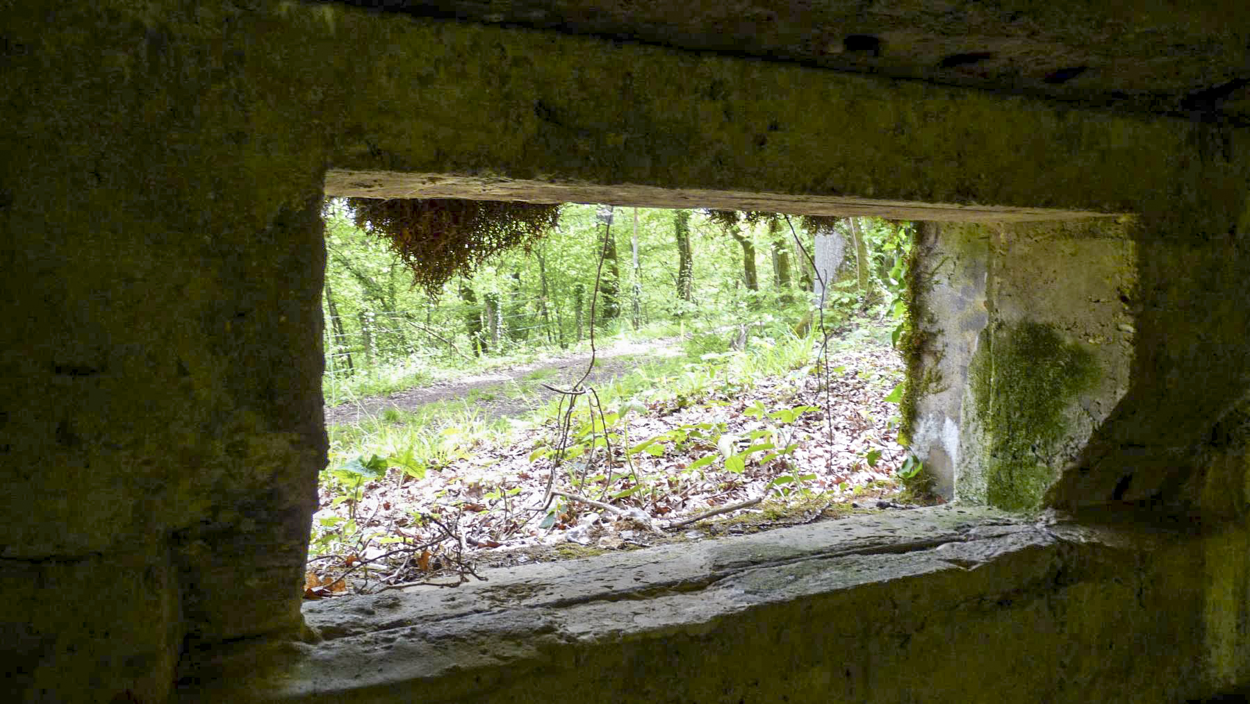 Ligne Maginot - CB274 - SAINTE MARIE 2 - (Blockhaus pour canon) - 