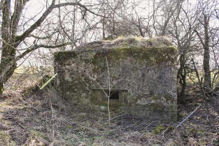 Ligne Maginot - BERSTERCH EST - (Blockhaus pour arme infanterie) - Façade de tir