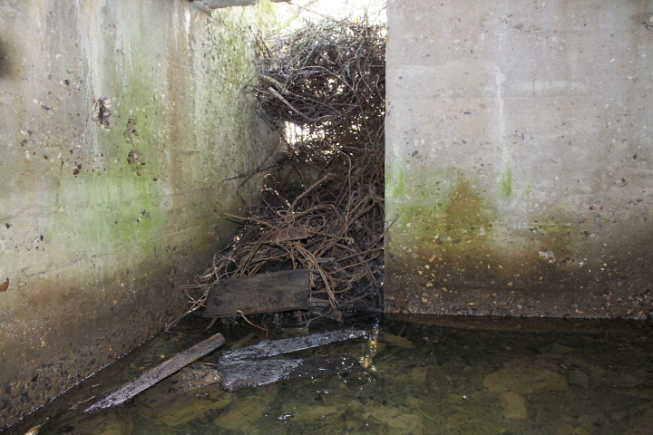 Ligne Maginot - BERSTERCH EST - (Blockhaus pour arme infanterie) - L'intérieur - Christian LENHARD