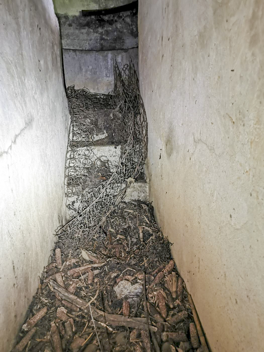 Ligne Maginot - KEMBS NORD 3 - (Blockhaus pour arme infanterie) - L'escalier vers la coupole.