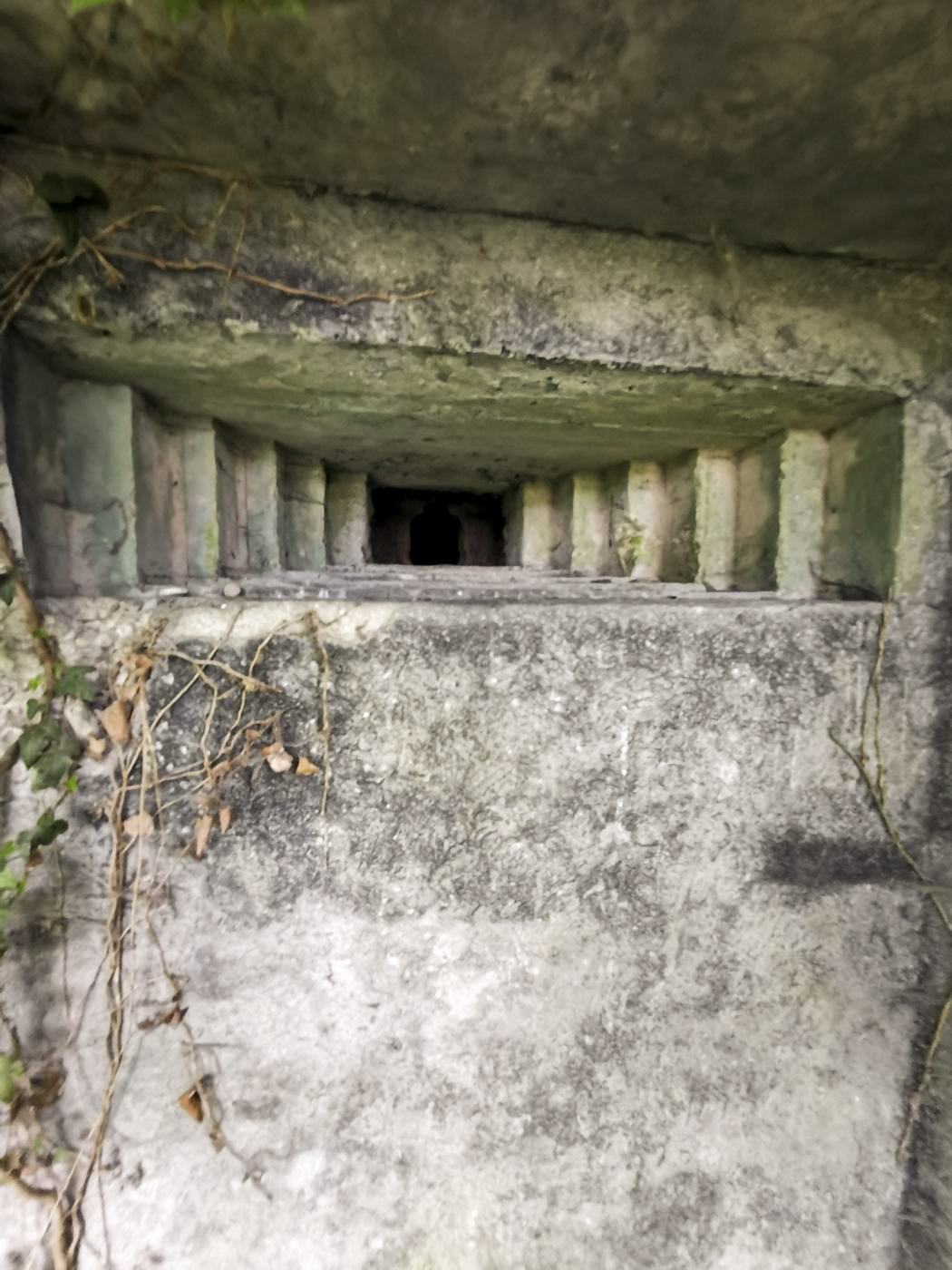 Ligne Maginot - B591 - RICHARDSHAEUSER 5 - (Blockhaus pour arme infanterie) - Le grand créneau en plan rapproché.