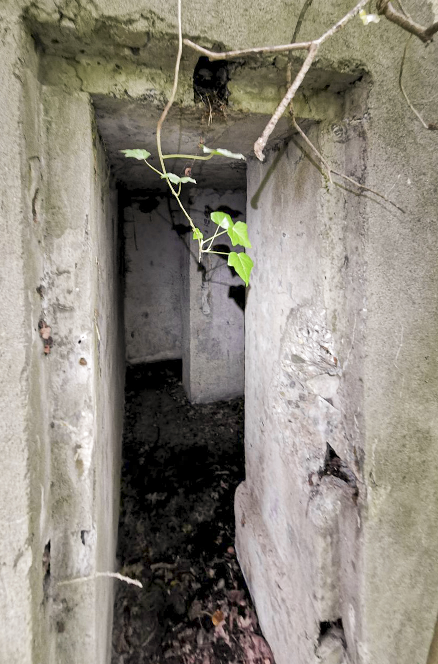 Ligne Maginot - B591 - RICHARDSHAEUSER 5 - (Blockhaus pour arme infanterie) - L'entrée du blockhaus.