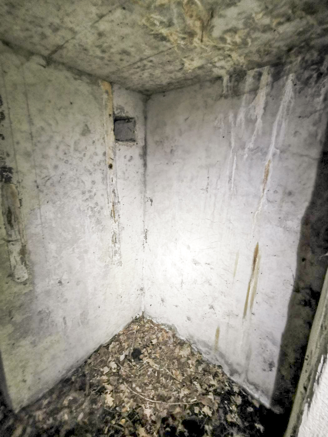 Ligne Maginot - B591 - RICHARDSHAEUSER 5 - (Blockhaus pour arme infanterie) - Après l'entrée, il y a ce petit espace avec dans le mur, des planches en bois.