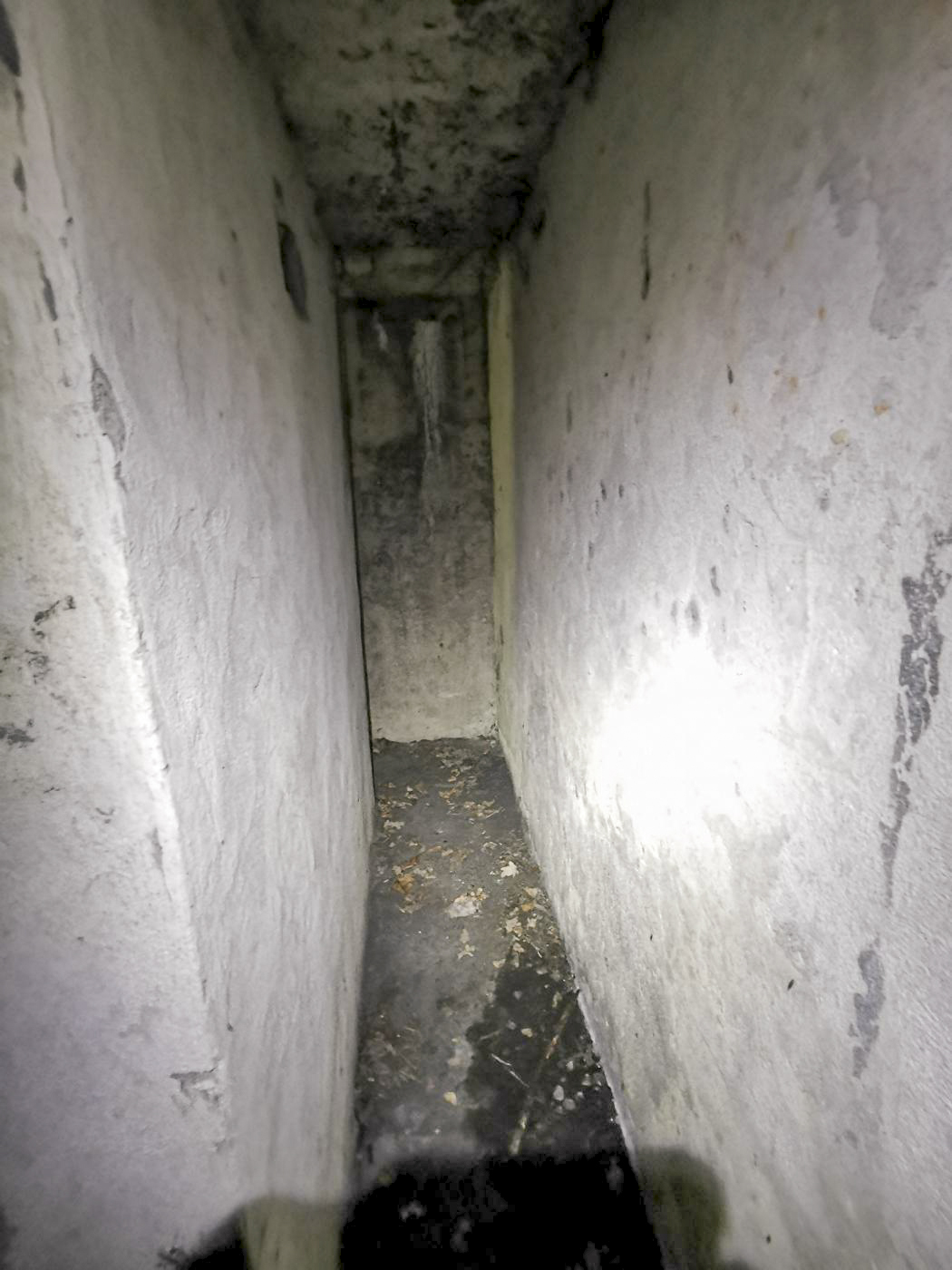 Ligne Maginot - B591 - RICHARDSHAEUSER 5 - (Blockhaus pour arme infanterie) - Le couloir qui mène à la chambre de tir, vue vers l'entrée. - leiraph