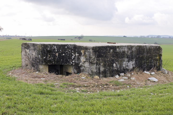 Ligne Maginot - BININGERWIESE 1 - (Blockhaus pour canon) - Façade arrière
