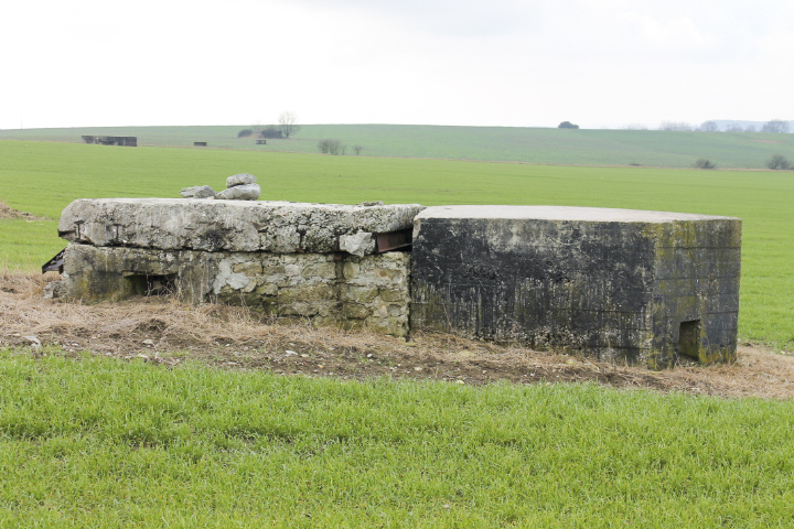 Ligne Maginot - BININGERWIESE 2 - (Blockhaus pour arme infanterie) - Façade Est
