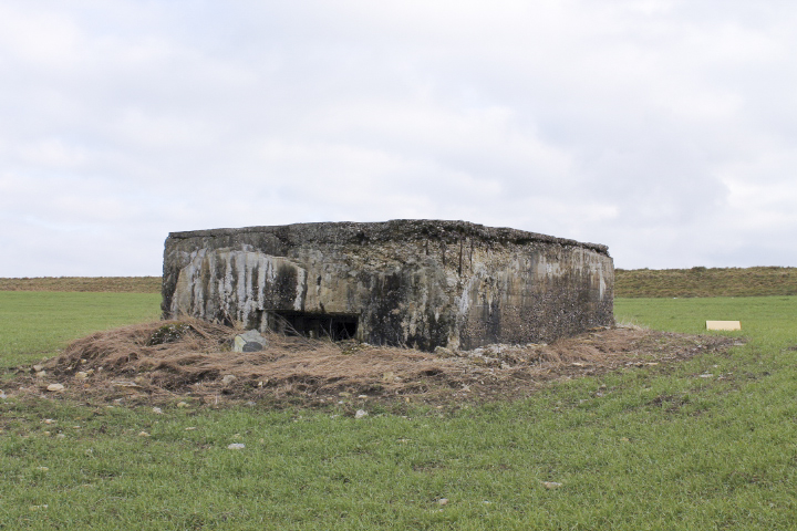 Ligne Maginot - BININGERWIESE 3 - (Blockhaus pour arme infanterie) - Facade de tir