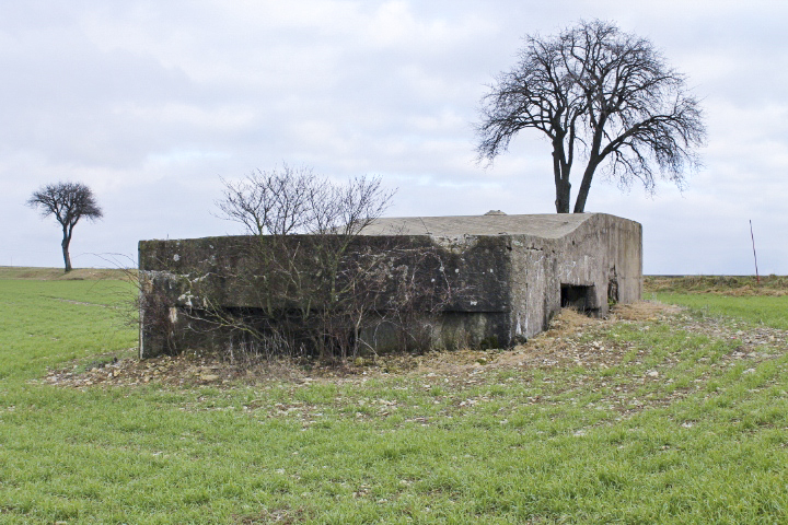Ligne Maginot - BININGERWIESE 4 - (Blockhaus pour arme infanterie) - Façade Nord - Christian LENHARD