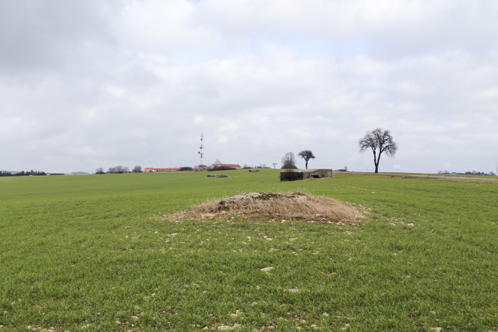 Ligne Maginot - BININGERWIESE 5 - (Abri) - Vue générale