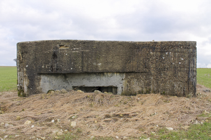 Ligne Maginot - BININGERWIESE 6 - (Blockhaus pour arme infanterie) -  - Christian LENHARD