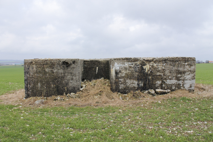 Ligne Maginot - BININGERWIESE 6 - (Blockhaus pour arme infanterie) - L'entrée - Christian LENHARD