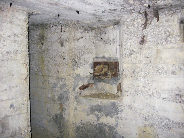 Ligne Maginot - BININGERWIESE 6 - (Blockhaus pour arme infanterie) - Le créneau Fusil Mitrailleur