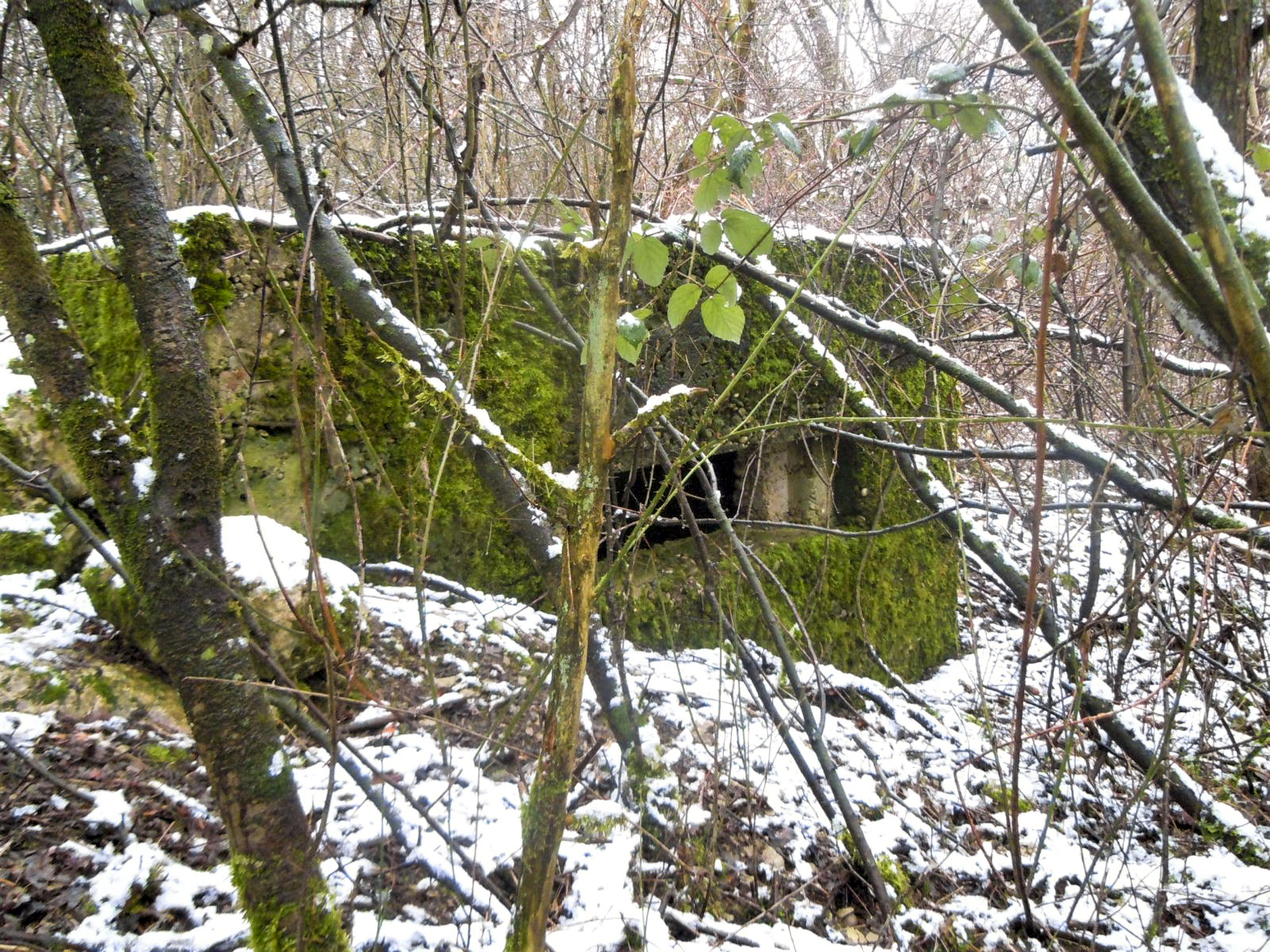 Ligne Maginot - DORFBRUNNEN SUD - (Blockhaus pour arme infanterie) -  - Jean-Marie Bach