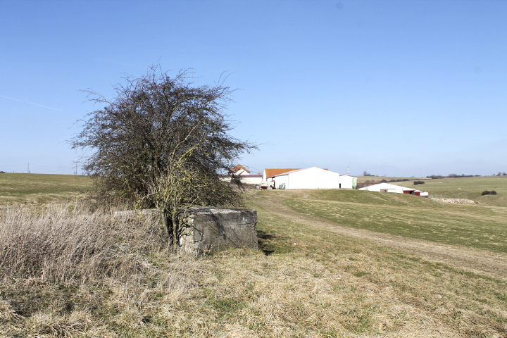 Ligne Maginot - BOMBACH 3 (Blockhaus pour arme infanterie) - Vue générale