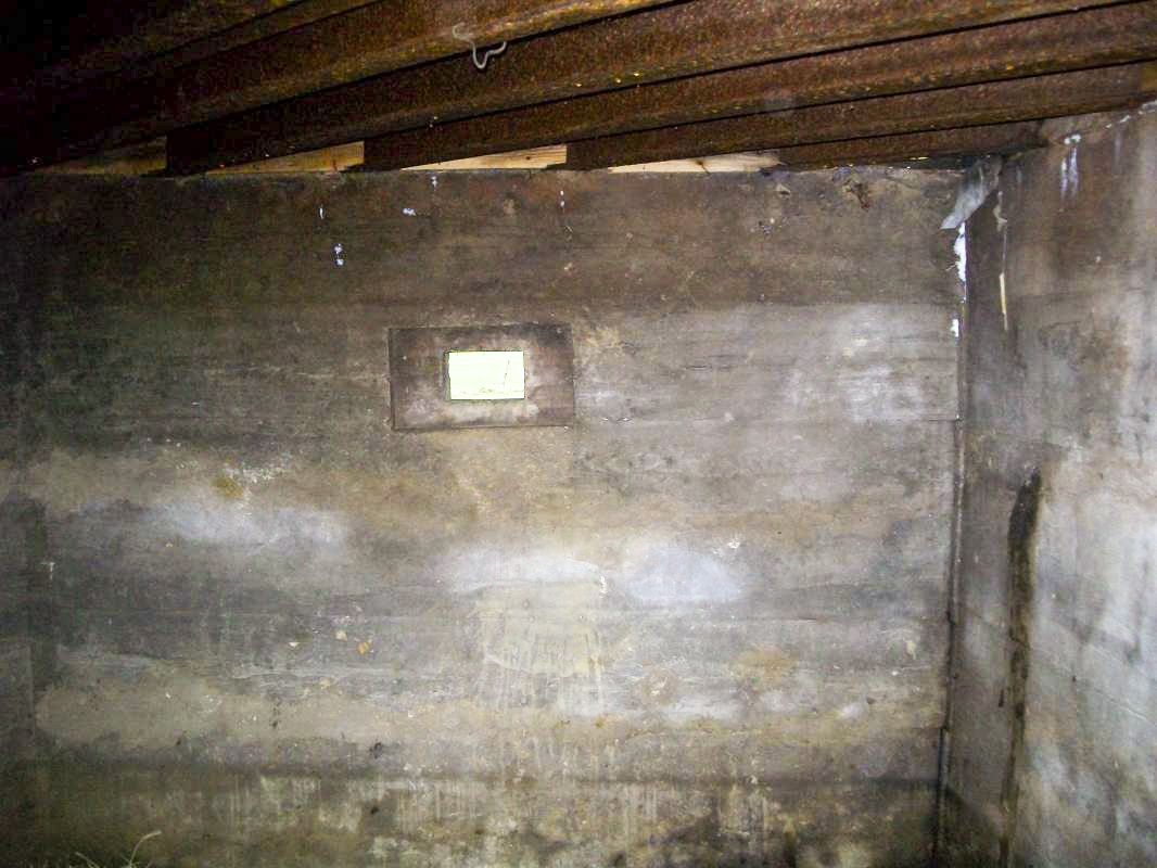 Ligne Maginot - BREITENWEG EST - (Blockhaus pour canon) - 